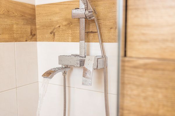 Cost of Shower Plumbing Installation in Riverview